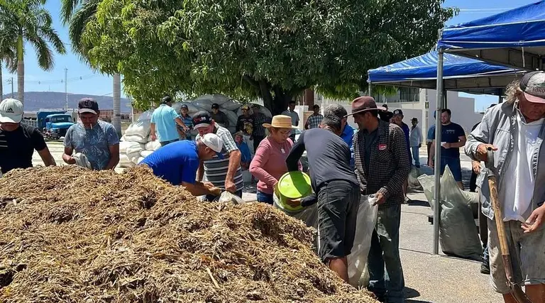 Prefeitura de Uiraúna entrega ração subsidiada a produtores rurais 1 Prefeitura de Uiraúna entrega ração subsidiada a produtores rurais