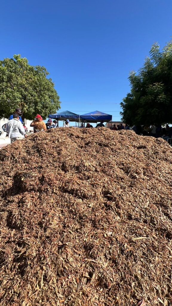 Gestão Leninha entrega ração subsidiada do Agroforte 7 WhatsApp Image 2025 11 17 at 18.50.01 2