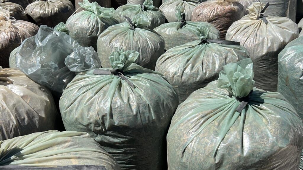 Gestão Leninha entrega ração subsidiada do Agroforte 5 WhatsApp Image 2025 11 17 at 18.50.02 1