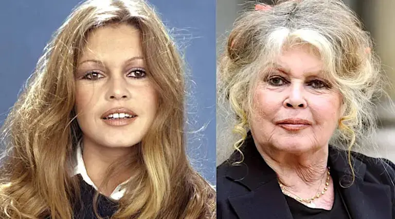 Morre Brigitte Bardot aos 91 anos 1 Morre Brigitte Bardot aos 91 anos
