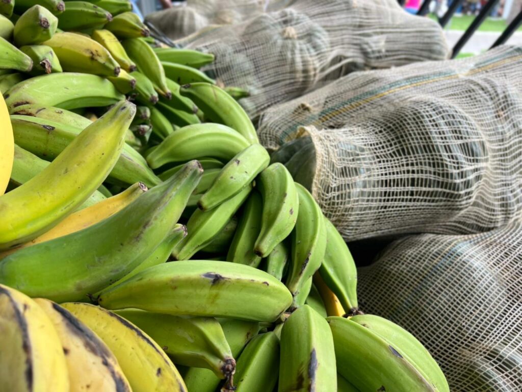 Leninha Romão distribui 1.600 cestas natalinas em Uiraúna 5 WhatsApp Image 2025 12 23 at 15.25.42 3