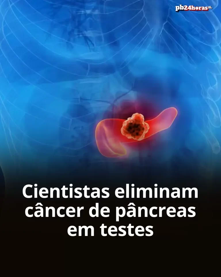 Cientistas espanhóis desenvolvem terapia combinada que elimina câncer de pâncreas em camundongos