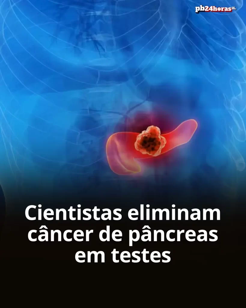Cientistas espanhóis desenvolvem terapia combinada que elimina câncer de pâncreas em camundongos
