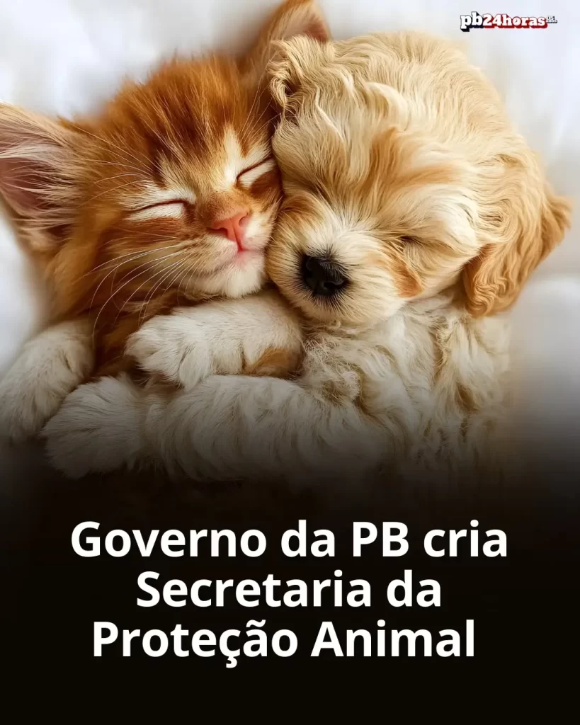 Paraíba cria Secretaria da Proteção Animal: Entenda a nova estrutura