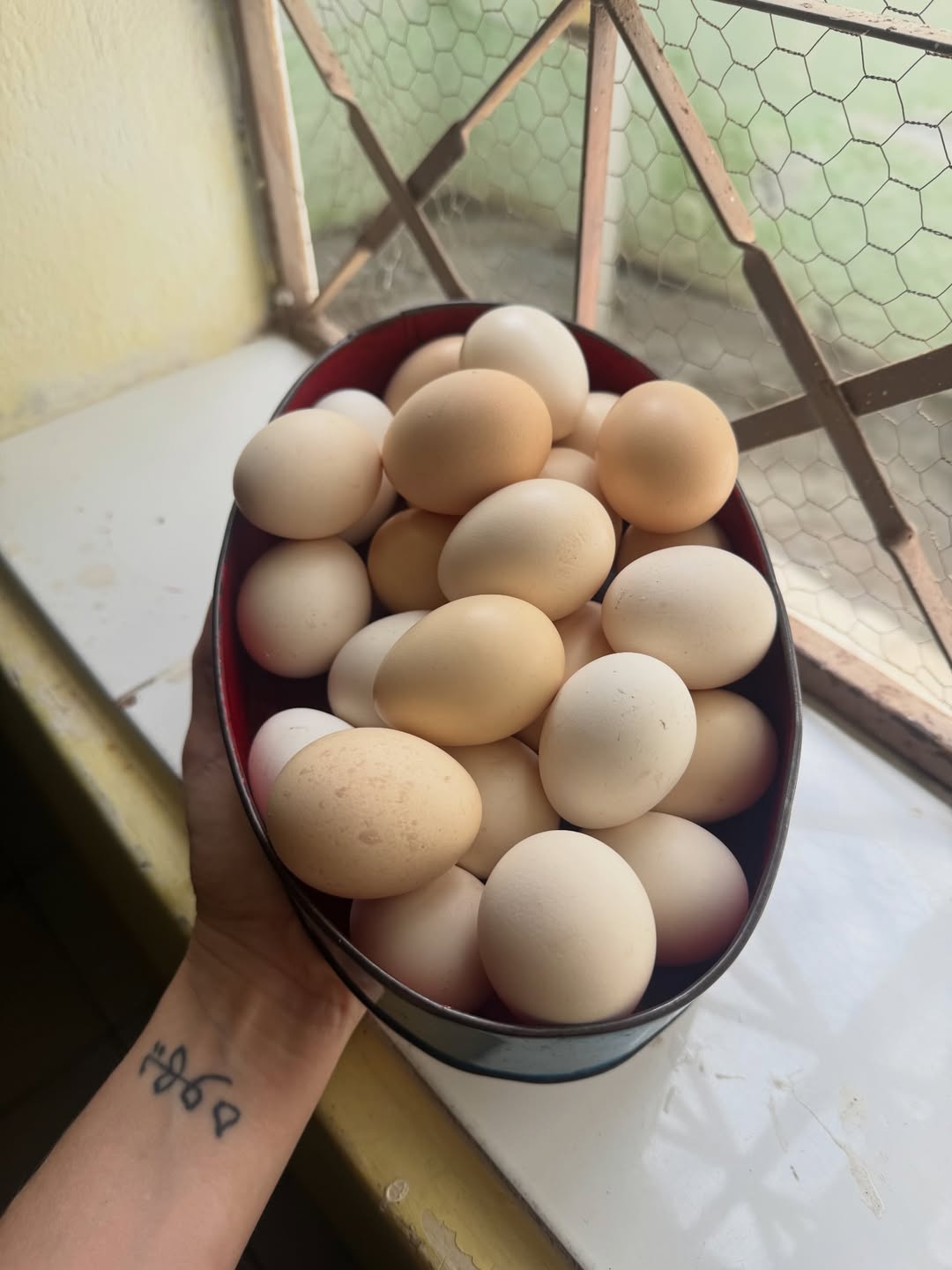 Isabelle Drummond visita familiares em Triunfo-PB 7 terra de mainha 5