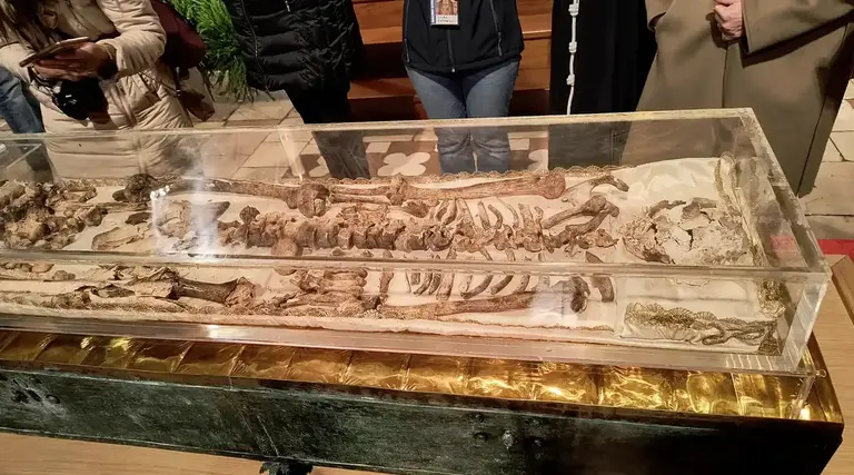 Primeira exibição dos restos mortais de São Francisco 1 Primeira exibição dos restos mortais de São Francisco