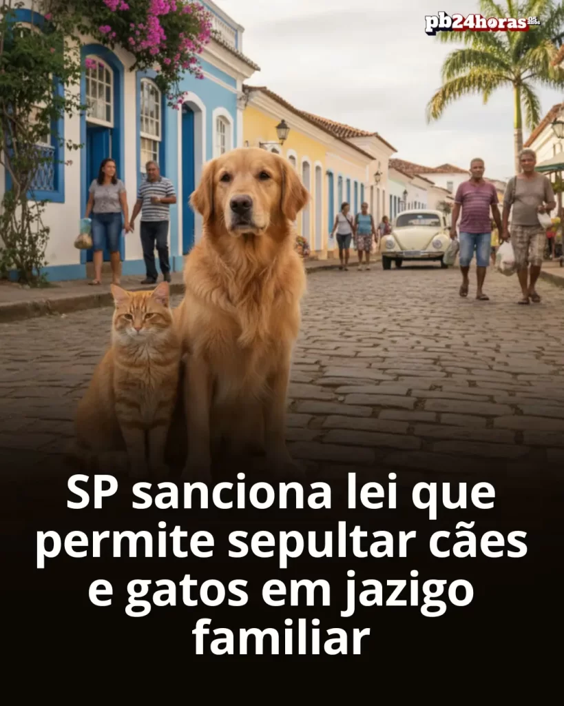 SP sanciona lei que autoriza sepultamento de cães e gatos em jazigo familiar. Lei Bob Coveiro reconhece vínculo afetivo