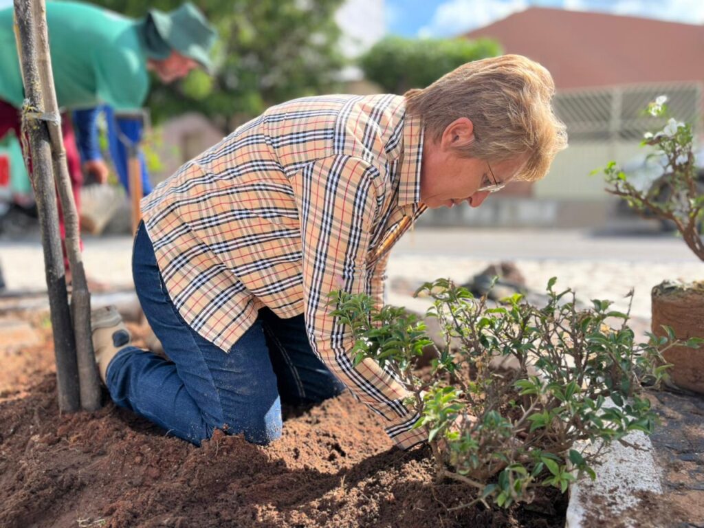 Prefeita Leninha promove plantio de árvores no bairro Bela Vista 6 2 2