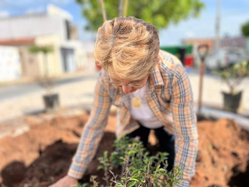 Prefeita Leninha promove plantio de árvores no bairro Bela Vista 4 4 2