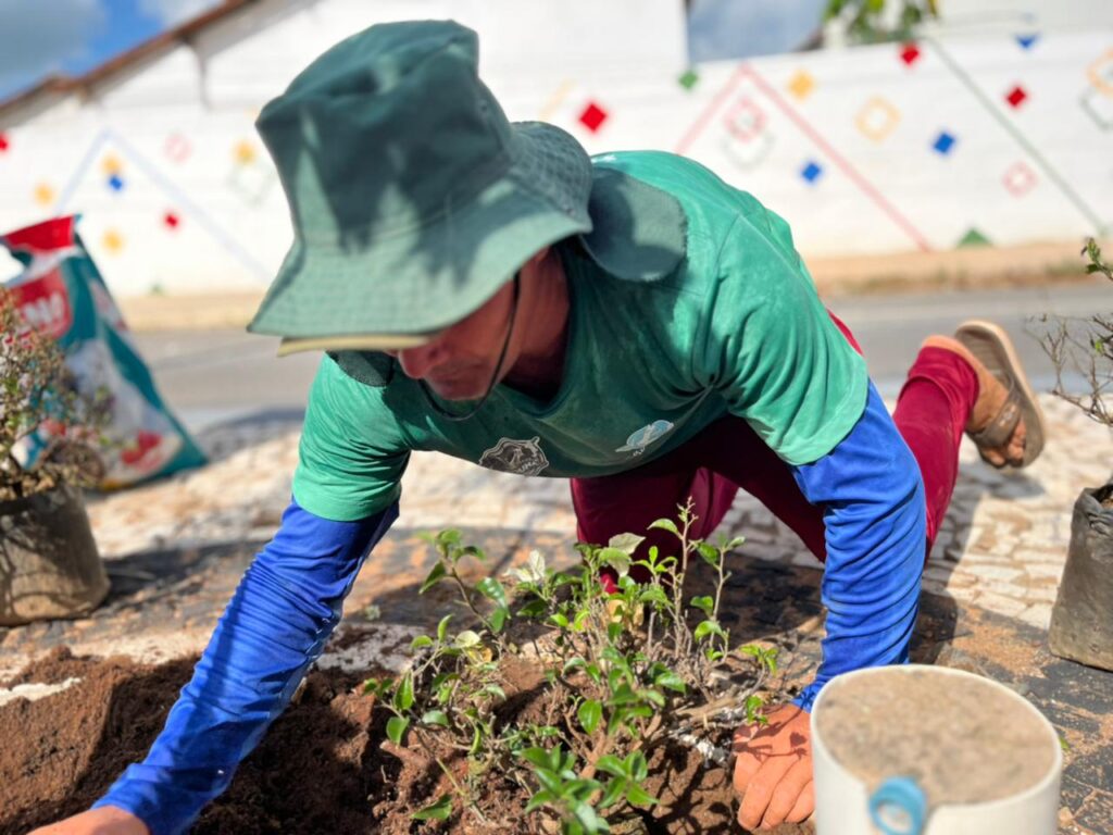 Prefeita Leninha promove plantio de árvores no bairro Bela Vista 3 5 1