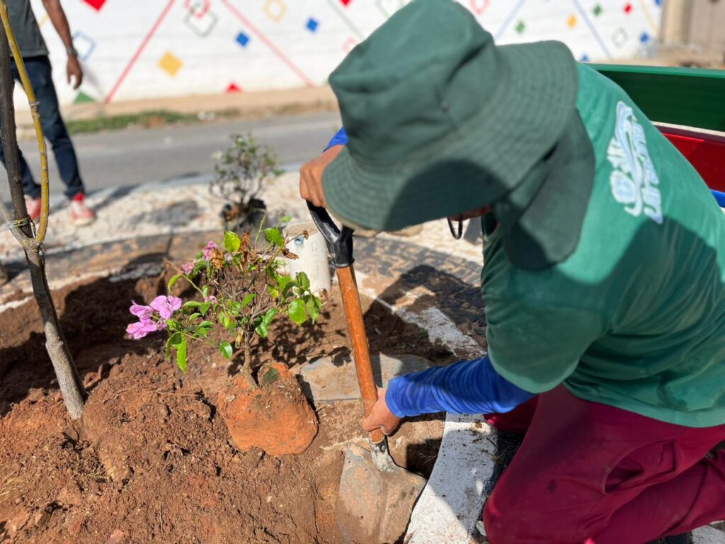 Prefeita Leninha promove plantio de árvores no bairro Bela Vista 2 6 1