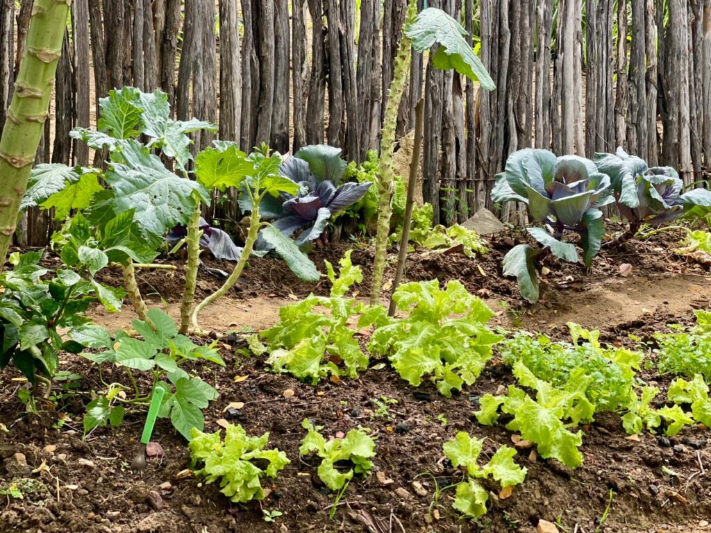 Projeto de energia solar em Poço Dantas recebe visita da TV Cabo Branco 8 WhatsApp Image 2026 03 26 at 10.27.35 2