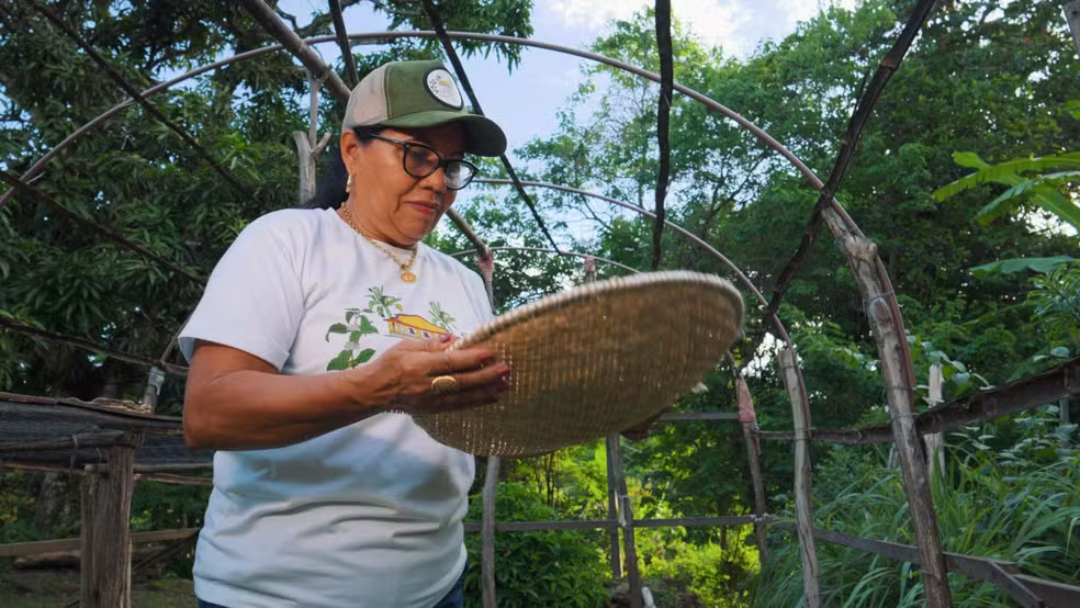 Café no Brejo Paraibano é destaque no "Do Campo à Mesa" neste sábado (25) 3 3