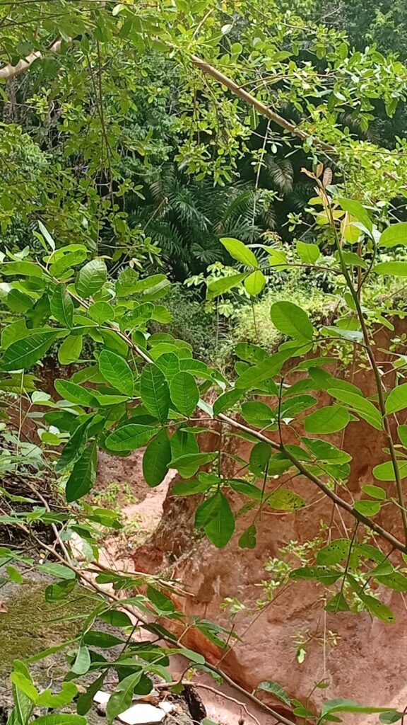 Cratera no bairro Planalto da Boa Esperança coloca moradores em alerta 7 WhatsApp Image 2026 04 02 at 11.59.40