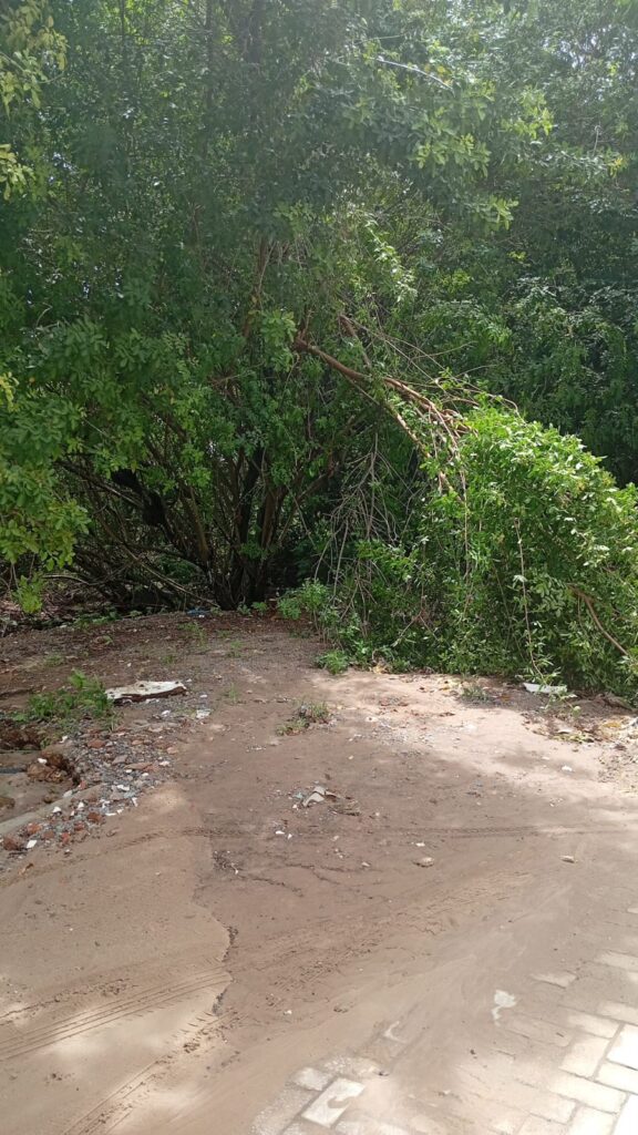 Cratera no bairro Planalto da Boa Esperança coloca moradores em alerta 4 WhatsApp Image 2026 04 02 at 12.01.04