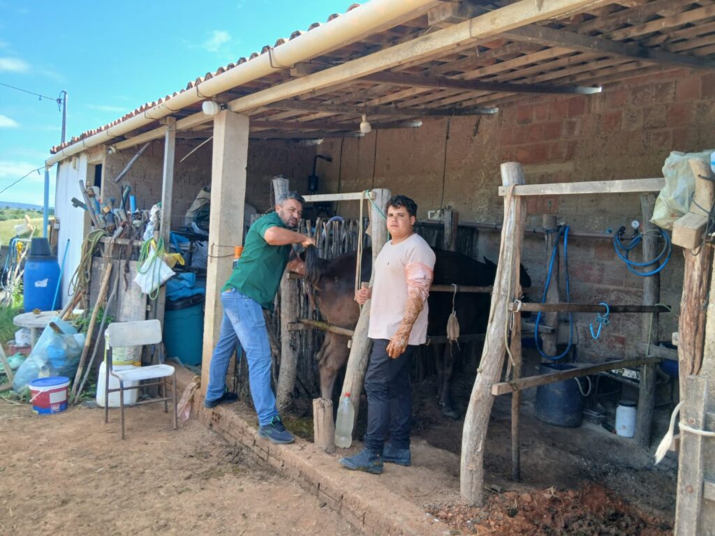 WhatsApp Image 2026 06 03 at 15.33.25 2