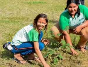 Poço Dantas celebra Dia do Meio Ambiente com plantio de árvores
