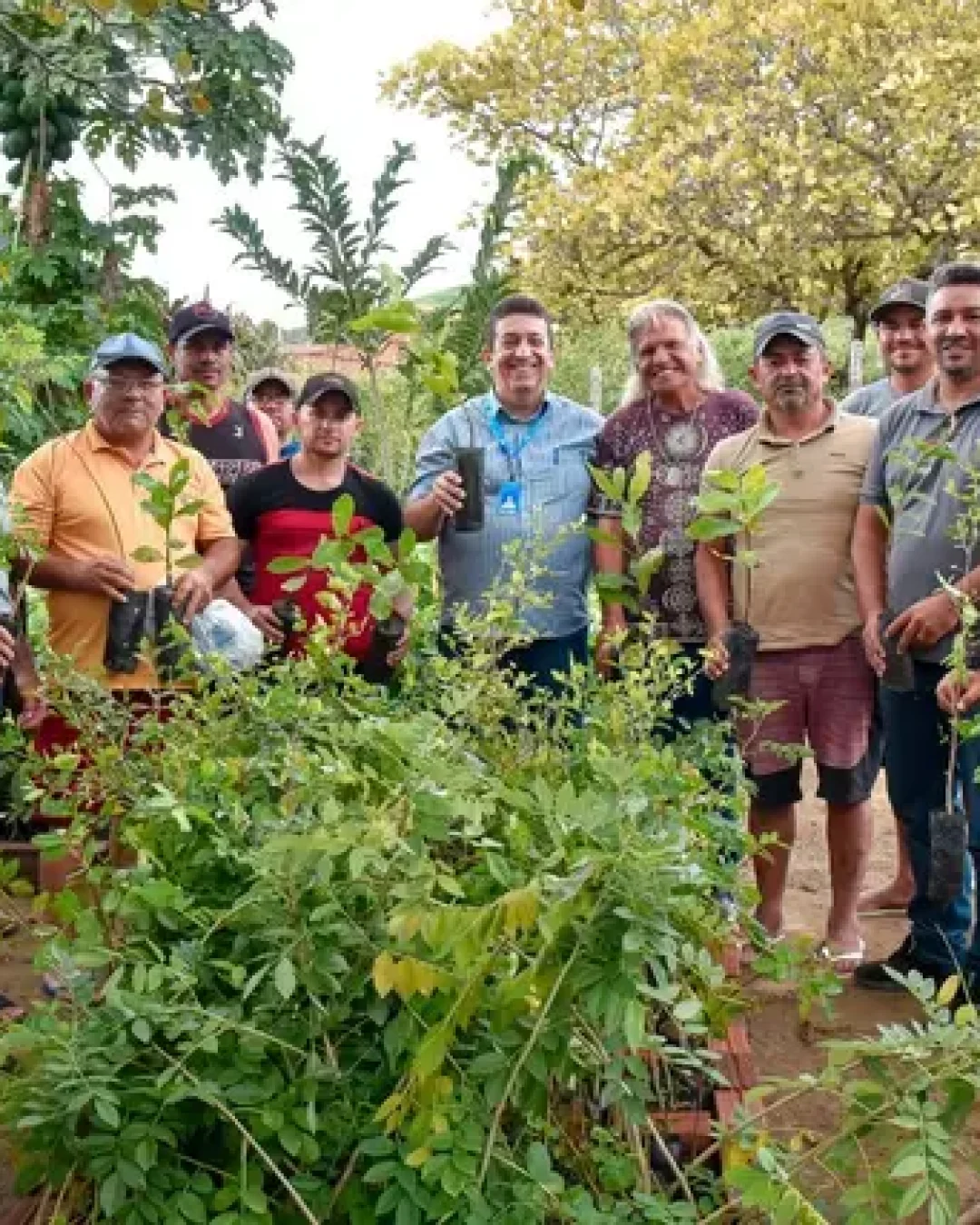 Poço Dantas fortalece apicultura com apoio do SEBRAE